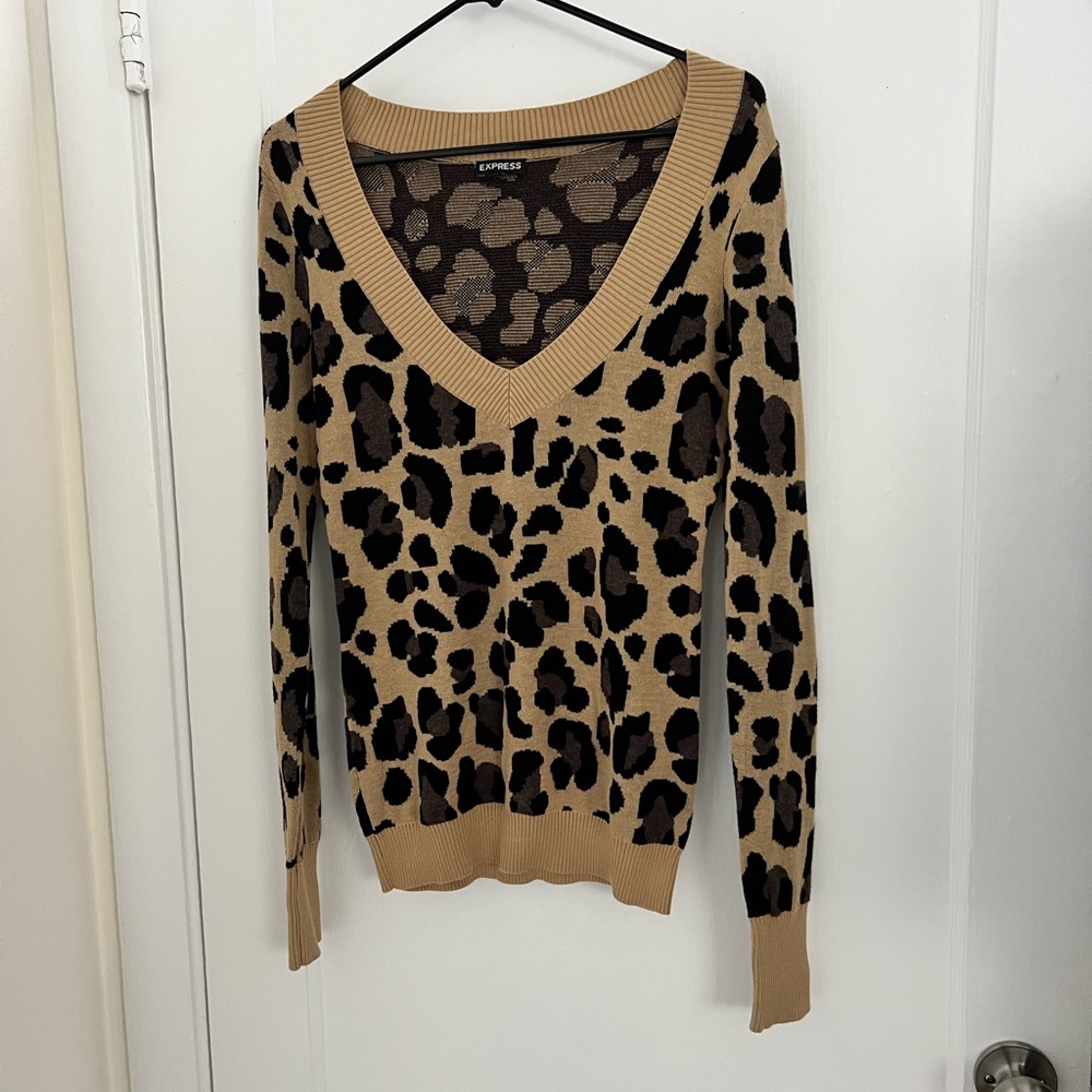 Express Fitted Sweater